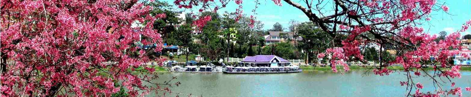 Đón Tết Cùng Gia Đình An